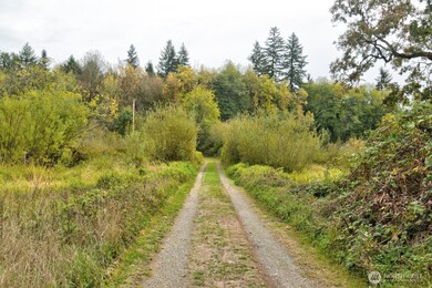 13920 Littlerock Rd SW, Rochester, WA 98579 - photo 5