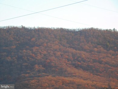 374 Aileen Ave, Strasburg, VA 22657 - photo 7