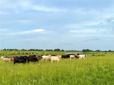 6477 Garhole View Ln, Bryan, TX 77808 - photo 7