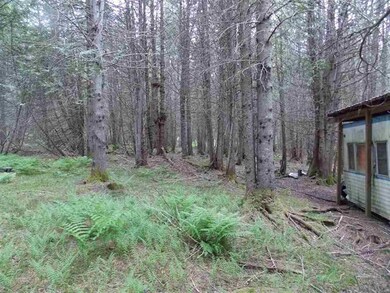 1815 Sheffield Rd, Sutton, VT 05867 - photo 7