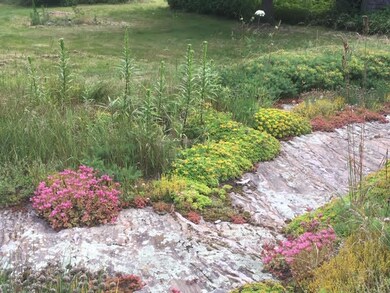Hardscape(3)
