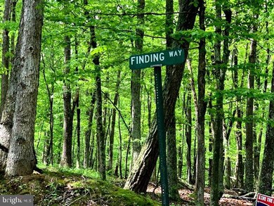 0 Jr Rannels Rd Finding Way unit WVHS2001950, Romney, WV 26757 - photo 3