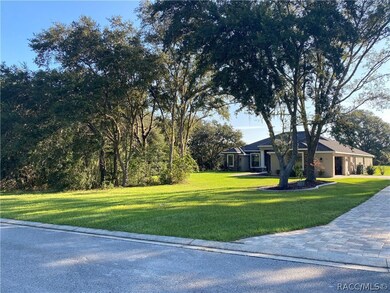 Neighbor across the street
