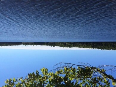 View from shorefront