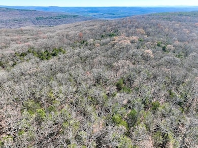Tbd unit LotWP001, Natural Dam, AR 72948 - photo 2