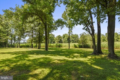 106 N Lake Dr, Stevensville, MD 21666 - photo 3