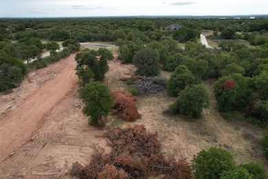 Tbd Pr 368, Hawley, TX 79525 - photo 4