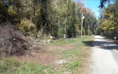 unlisted-address, Fort White, FL 32038 - photo 2