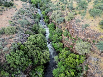 21675 Wildcat Rd, Paynes Creek, CA 96075 - photo 7