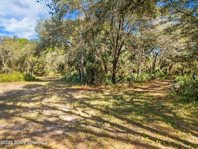 00 Bear Trail, West Canaveral Groves, FL 32926 - photo 2