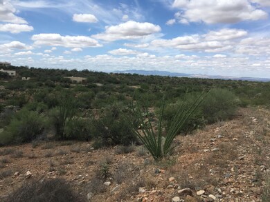 Panoramic