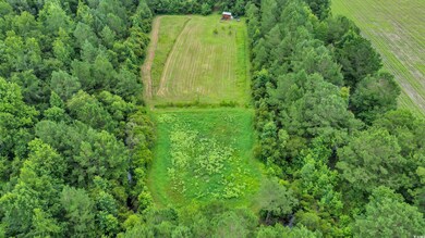 Aerial view of sparsely populated area featuring rows of crops