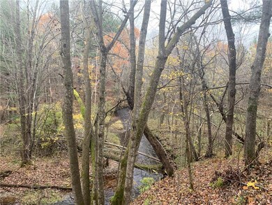 0 28th St unit 1537139, Chetek, WI 54728 - photo 6