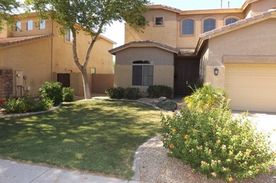 MIXED LANDSCAPING