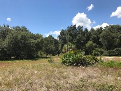 1809 Truman Ave, Lehigh Acres, FL 33972 - photo 6