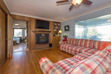 Wood Burning Fireplace Insert