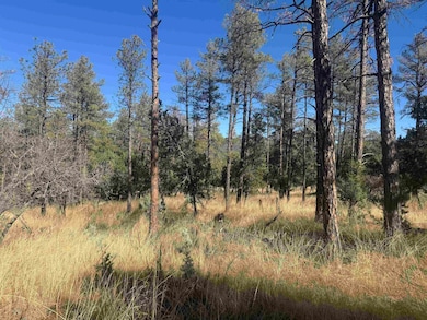 0 Dixwood Dr unit 171905, Timberon, NM 88350 - photo 2