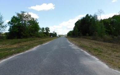 0 SW, Lake City, FL 32024 - photo 3