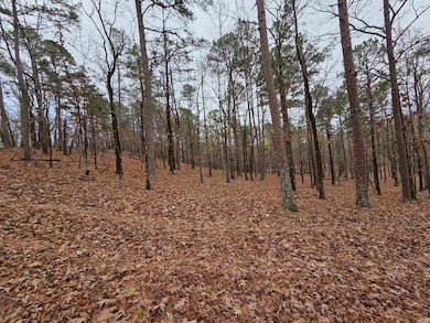 00 Colonel Glenn Rd, Little Rock, AR 72210 - photo 7