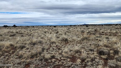 126 N Laguna Dr Lot B, Williams, AZ 86046 - photo 7