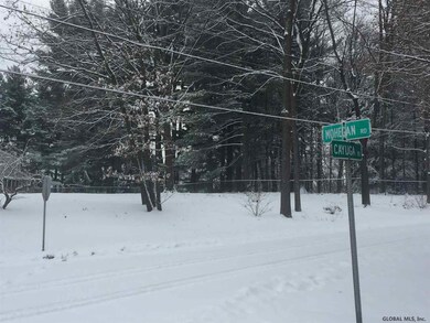 0 Lot 3a Mohegan Rd unit 201624836, Niskayuna, NY 12309 - photo 6