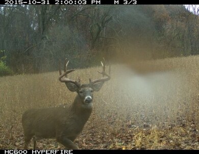 73 AC Alpine Rd, Brooklyn, WI 53521 - photo 5