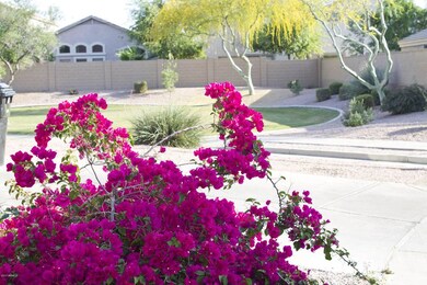 Open Space to Left of Driveway