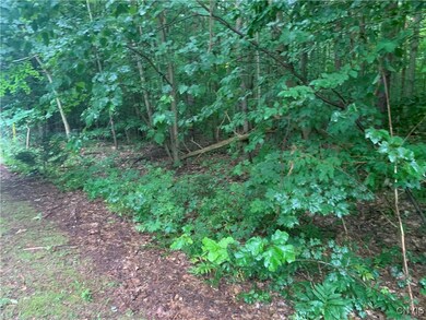 0 Anderson Way Dr, Minetto, NY 13069 - photo 3