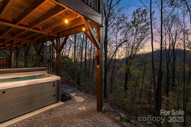 48 & 50 Wild Turkey Run, Black Mountain, NC 28711 - photo 4