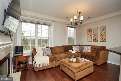 1725 Braddock Place unit 301, Alexandria, VA 22302 - photo 3