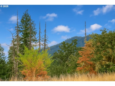 31212 Camas Ln, Eugene, OR 97405 - photo 4