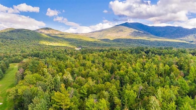 000 Profile Club Rd, Franconia, NH 03580 - photo 3