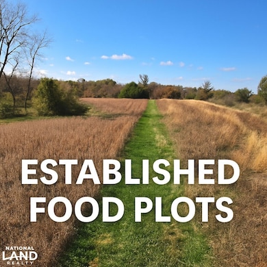 16706 481st St, Mystic, IA 52574 - photo 2