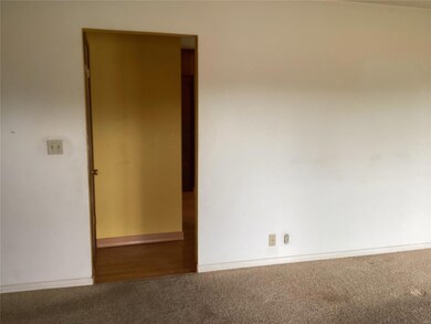 103 Lake Dr, Freeburg, IL 62243 - photo 4