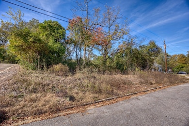 917 7th Ave, Phenix City, AL 36867 - photo 3