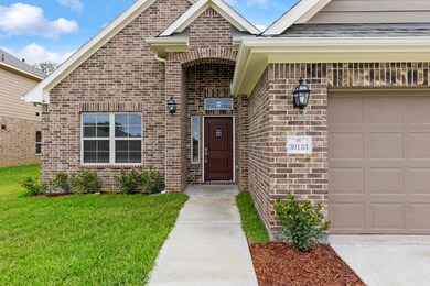 30133 Alpine Aster Ln, Cleveland, TX 77327 - photo 3