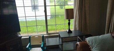 living room window
