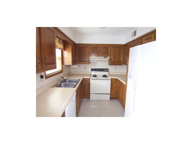 Gobs of cabinet and counter space, has a nice pant
