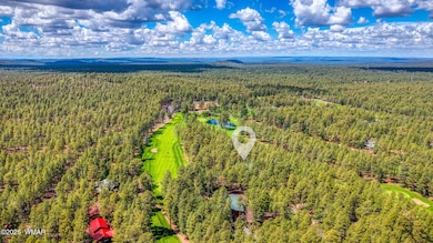 7140 Indian Bend Rd, Pinetop, AZ 85935 - photo 3