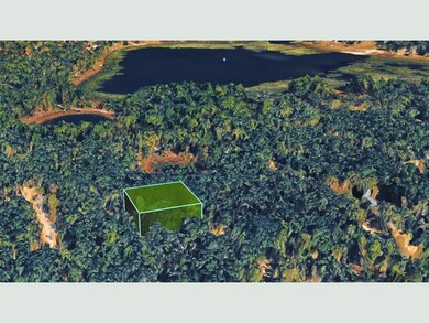 327 Michigan Dr, Hawthorne, FL 32640 - photo 3