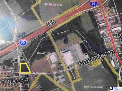 0 Main Street & Enterprise Rd unit 20220667, Dillon, SC 29536 - photo 2