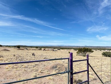 8 N6420, Saint Johns, AZ 85936 - photo 6