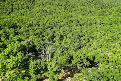 Lot 20 Restore Ridge, Harrison, AR 72601 - photo 6