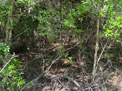 291 Aztec unit Lot 291, Brookeland, TX 75931 - photo 2