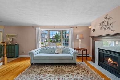 17 Buckthorn Terrace, Winthrop, MA 02152 - photo 5