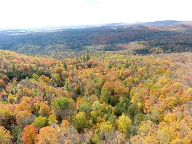 0 Derricks Dr unit 3 4935140, Wheelock, VT 05851 - photo 5