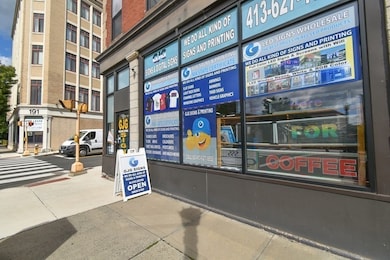 181 Chestnut St, Springfield, MA 01103 - photo 5