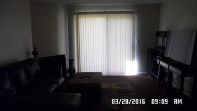 SAM_8711
