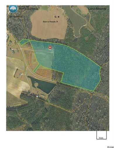 7724 Hunting Swamp Rd, Conway, SC 29527 - photo 4