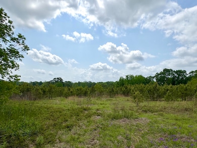 485 Scr 62, Magee, MS 39111 - photo 6